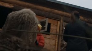 мини влог с конюшни??