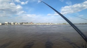 СУДАК НА РОВНОМЕРКУ!!! ЭТА ПРИМАНКА КОСИТ РЫБУ!!! РЫБАЛКА НА ОКЕ!!!