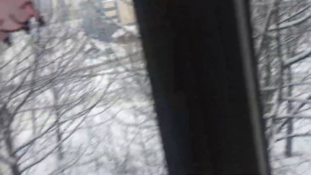 Оцените мой голос Мармока!