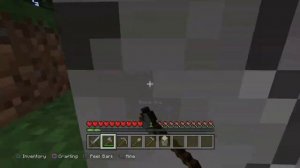 Aust  Plays  Minecraft