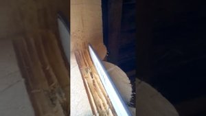 Паз в срубе