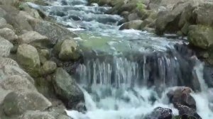 Снимайте напряжение, слушая нежный звук водопада в лесу. Звуки водопада, Текущая вода