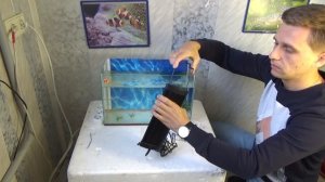 СВЕТОДИОДНЫЕ СВЕТИЛЬНИКИ BARBUS 021 и BARBUS 017. КАКОЙ ВЫБРАТЬ?