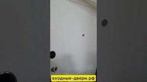 Дверь входная 9 см серебро. FERRONI