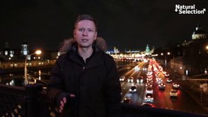 Как начать знакомиться с девушками? Давид Багдасарян
