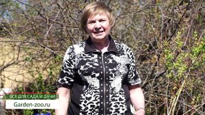 Правильная санитарная обрезка деревьев Весной ✔️ Как обрезать плодовые деревья