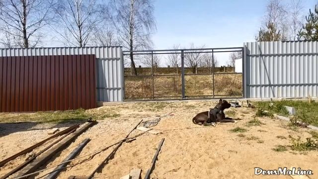 Ворота распашные из профиля своими руками смотреть онлайн