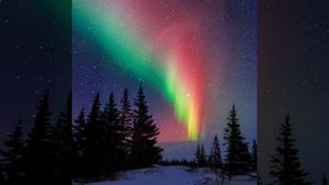 Чем удивляет нефтяная столица Республики Коми-Усинск,когда приезжаешь сюда впервые