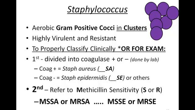 Intelligent Discussions About Clinical Micro Video 1 - 2010 смотреть онлайн