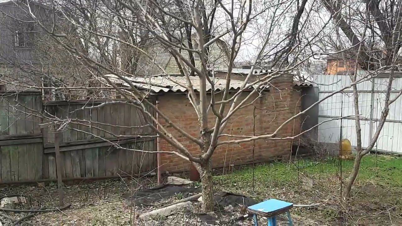 Весенняя обрезка в саду