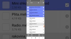 как правильно переместить моды в melon playground