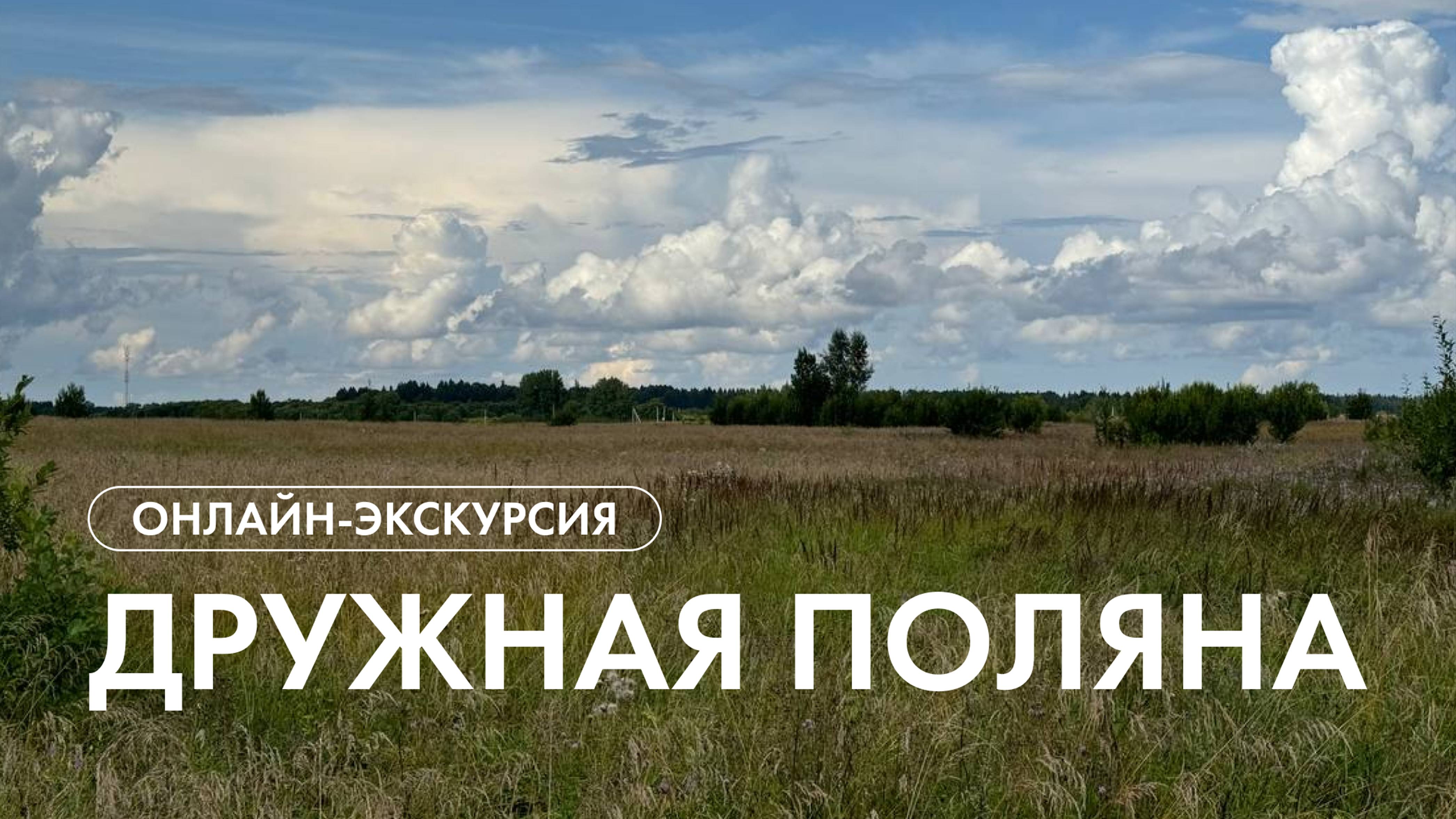 Экскурсия в поселке "Дружная поляна"