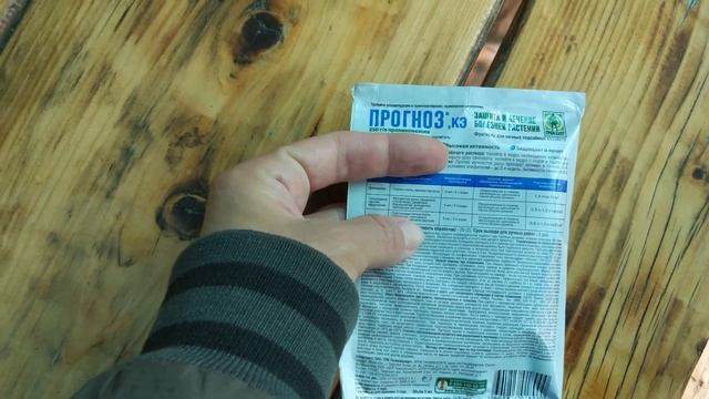 Как я избавилась от ржавчины на розах.