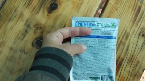 Как я избавилась от ржавчины на розах.