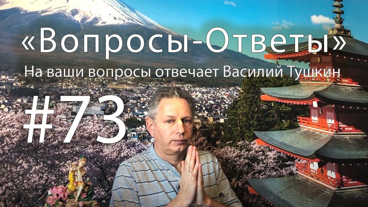Вопросы-Ответы Выпуск 73 - Василий Тушкин отвечает на ваши вопросы