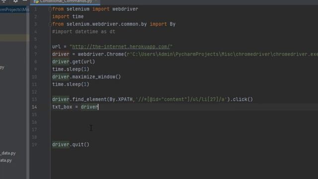 Conditional Command in Selenium with python || by Ravi Kumar