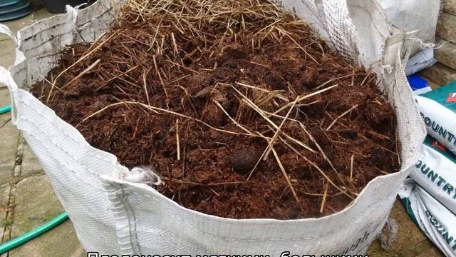 Можно ли удобрять клубнику навозом смотреть онлайн