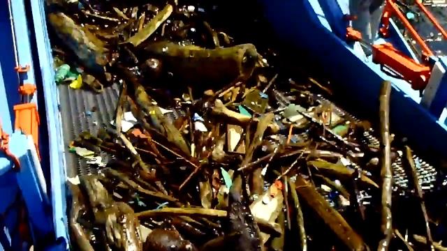 EDT Россия Мусоросборные скиммеры Mud Cat смотреть онлайн