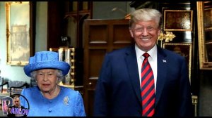 ТРЕШ-ОБЗОР КОРОЛЕВСКИЙ КОРГИ? (ЧСВ)- ЧСВ ПСИНА /БРЕД И НИЧЕГО БОЛЬШЕГО .