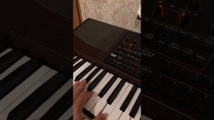 Стили для Корг па 1000 ( pa 1000)