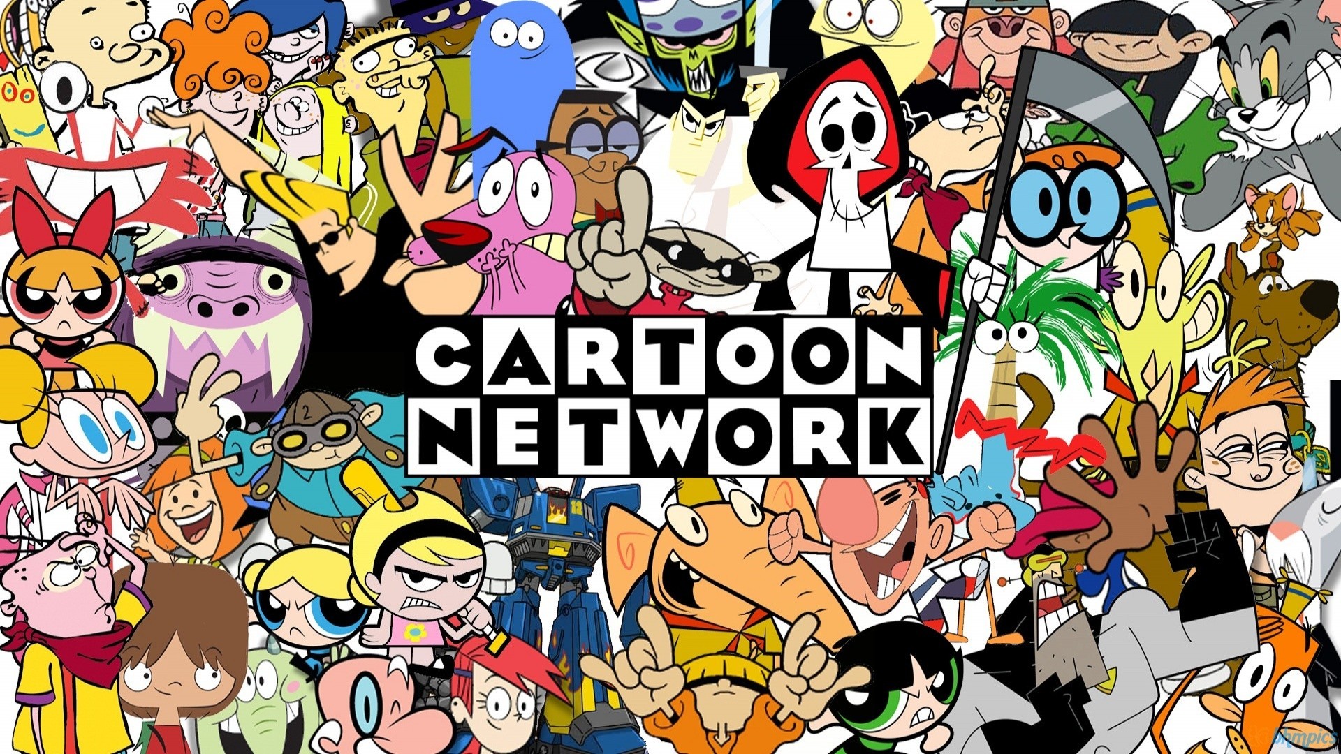 Cocktoon network