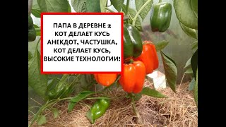 Папа в деревне 2 - грибы, высокие технологии, дачные питомцы, в конце видео - свежий анекдот :)