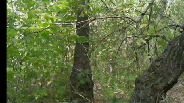 Школа N24 Тихоновка. Караганда смотреть онлайн