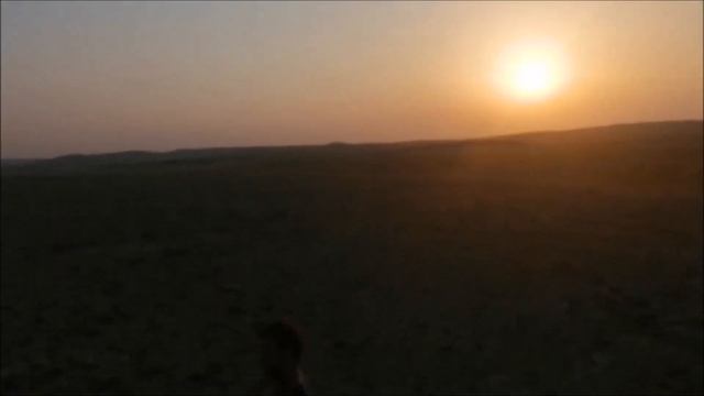 Отдых с ночевкой в пустыне! Израиль
