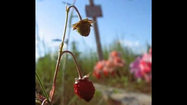 Идешь, на меня похожий.wmv смотреть онлайн