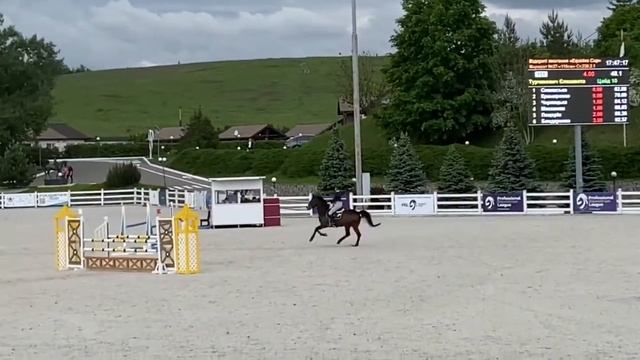 Цайд 10 продажа лошадей esuhorses.com