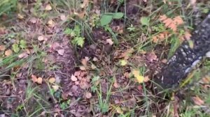 По старинным местам добычи горного хрусталя.