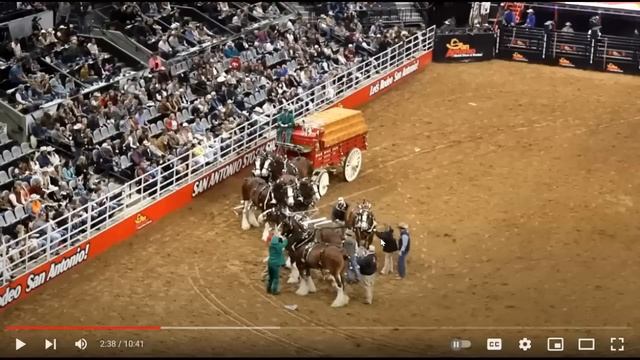 More Bad Press For Budweiser Clydesdale Wagon Accident - Abusing Horses For Profit & Advertising смотреть онлайн