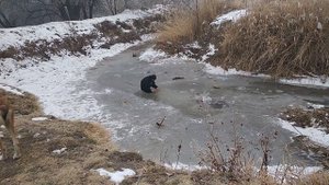 Рыбалка/Проверка Китайской сети с кормушкой/ из АлиЭкспресс