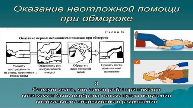 Какую рыбу нельзя ловить в России
