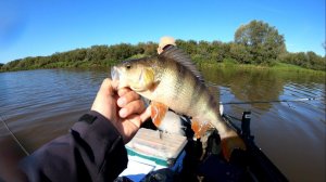 Трудовая рыбалка на джиг. Ловля окуня на джиг. река Мста.