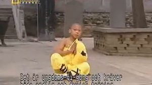 Wushu in SHAOLIN