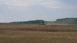 Урожай овса с Acros 585! август 2021!