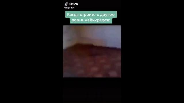 ЛЫСЫЙ ИЗ BRAZZERS В ТИК ТОК