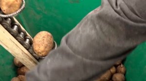 Посадка картошки самодельной картофелесажалкой .