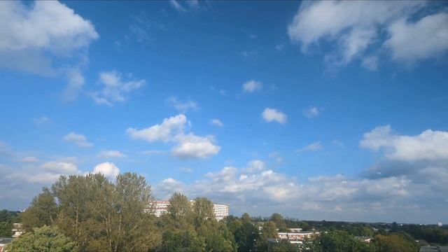 *В комнате с белым потолком*. По мотивам short версии стрима Лены Хеппи. #ленахеппи смотреть онлайн