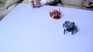 Роботы пауки HEXBUG Battle Spider игровой набор Hexbug