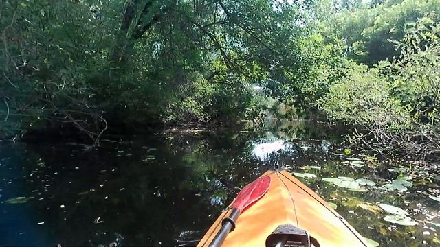 На байдарке по Днепру. Херсонские джунгли. Смотреть в высоком качестве смотреть онлайн