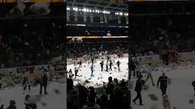 Teddybear toss at London Knights game