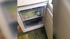 Отзыв на холодильник Beko CSKDN6250MA0W спустя 3 года использования. Плюсы и минусы