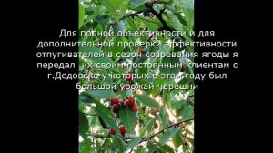 Отпугиватель для птиц фильм 2