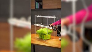 Подставка под фитосветильник