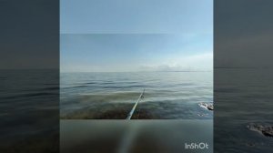 Рыбалка бомбардой на кефаль ( сбирулино).
