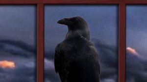 "ВЕДЬМИНА ПАДЬ"  10 серия (автор Светлана Гончаренко). Мистика. Истории на ночь.