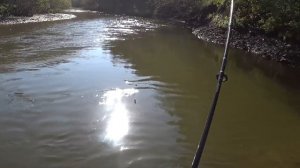 Вот это рыбалка !!! Лов Симы у берегов Татарского пролива. Местные опять куда-то везут!