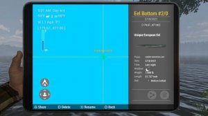 Unique European Eel - Sander Baggersee Lake Germany - Fishing Planet Guide